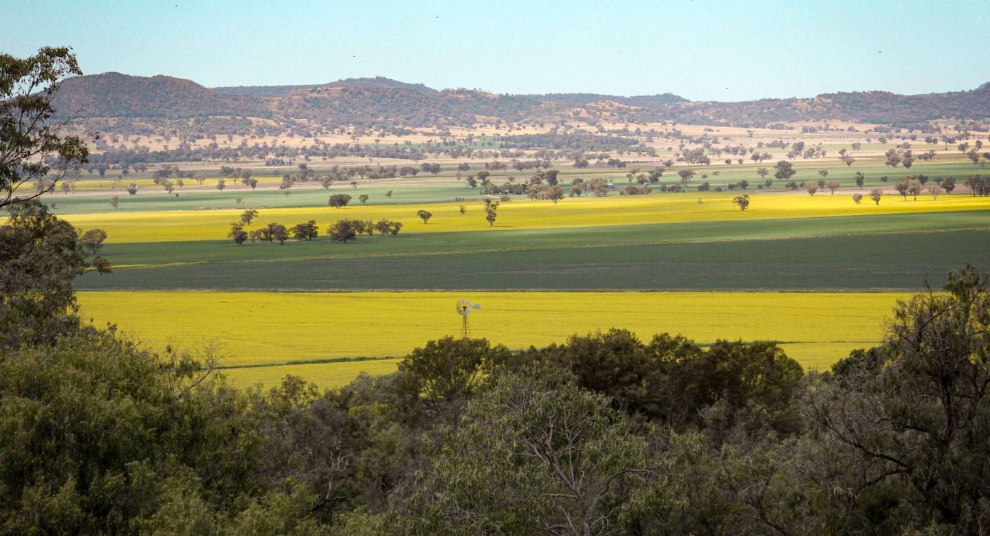 Goorianawa Station crops field